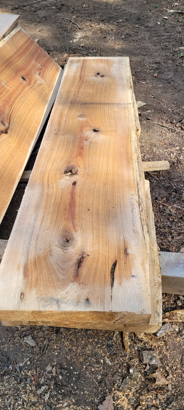 Hickory Live Edge Slab