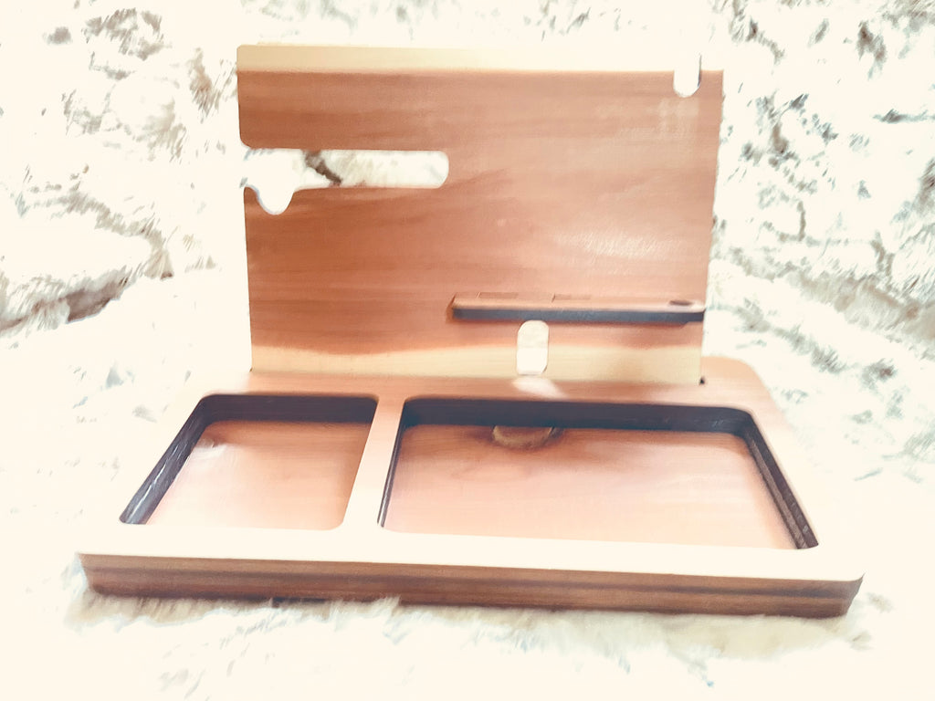 Docking Station Organizer